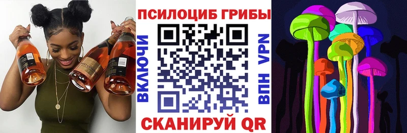 где найти   Опочка  KRAKEN сайт  Псилоцибиновые грибы Psilocybe 